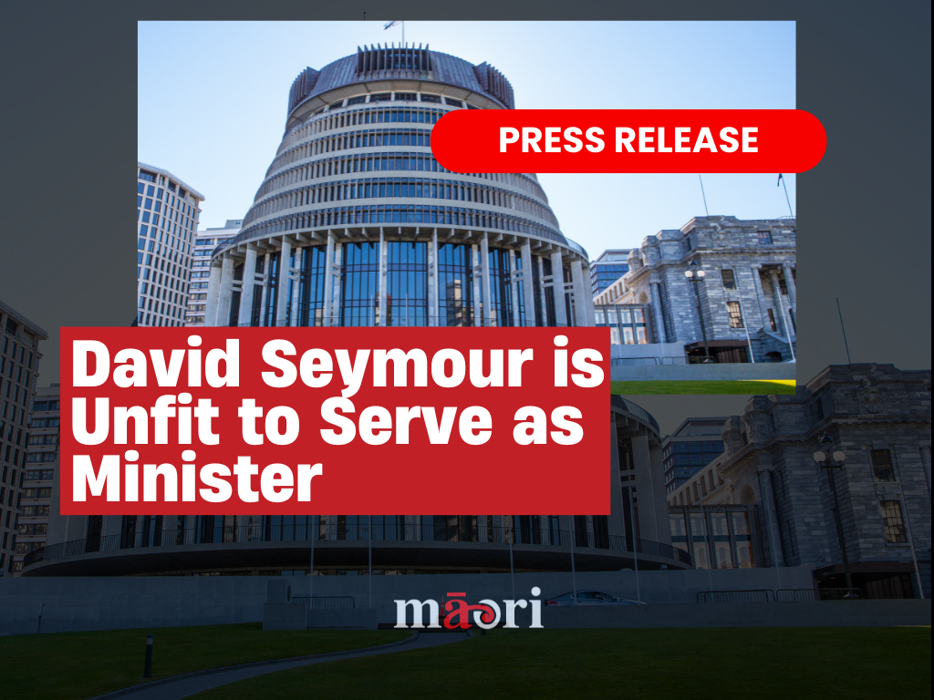 David Seymour is Unfit to Serve as Minister preview image
