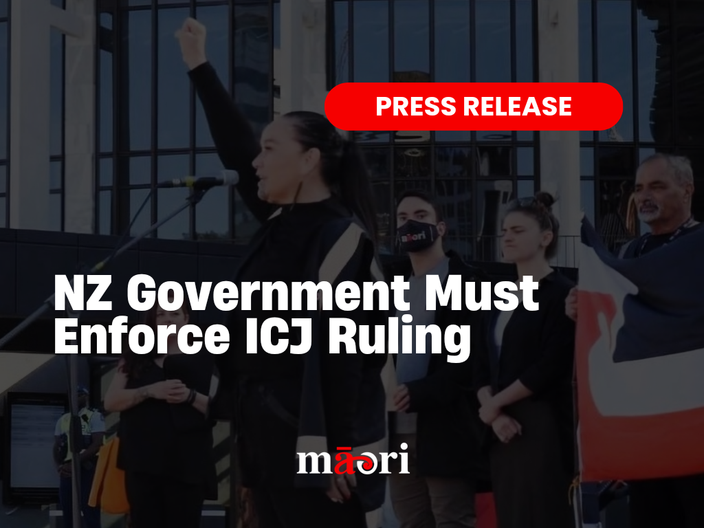 NZ Government Must Enforce ICJ Ruling preview image