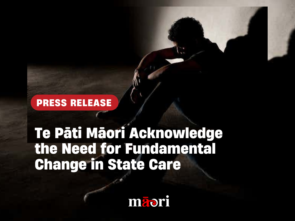Te Pāti Māori Acknowledge the Need for Fundamental Change in State Care preview image
