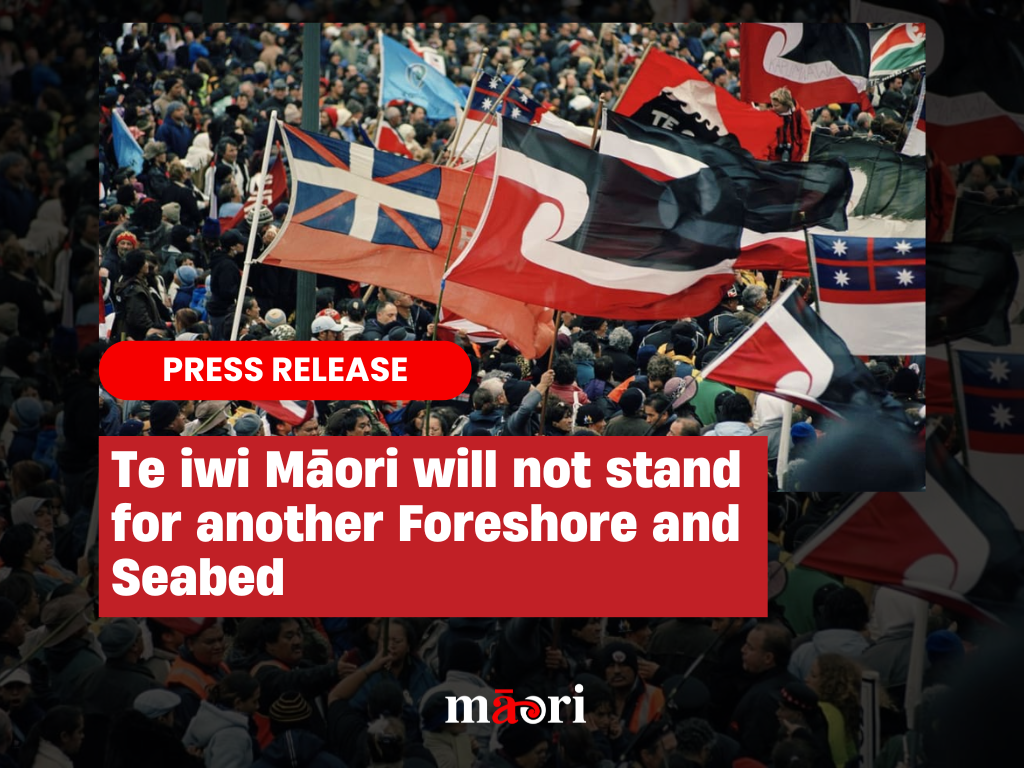 Te iwi Māori will not stand for another Foreshore and Seabed preview image