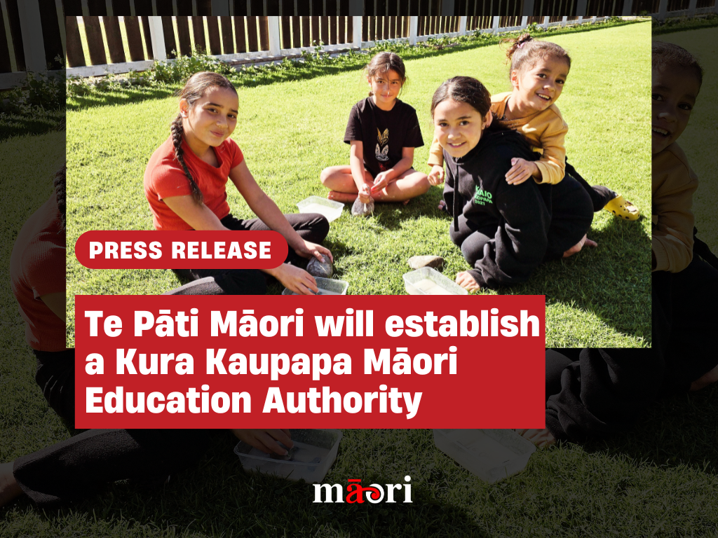Te Pāti Māori will establish a Kura Kaupapa Māori Education Authority preview image
