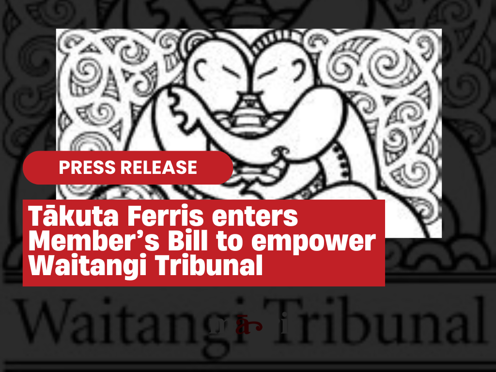 Tākuta Ferris enters Member’s Bill to empower Waitangi Tribunal    preview image
