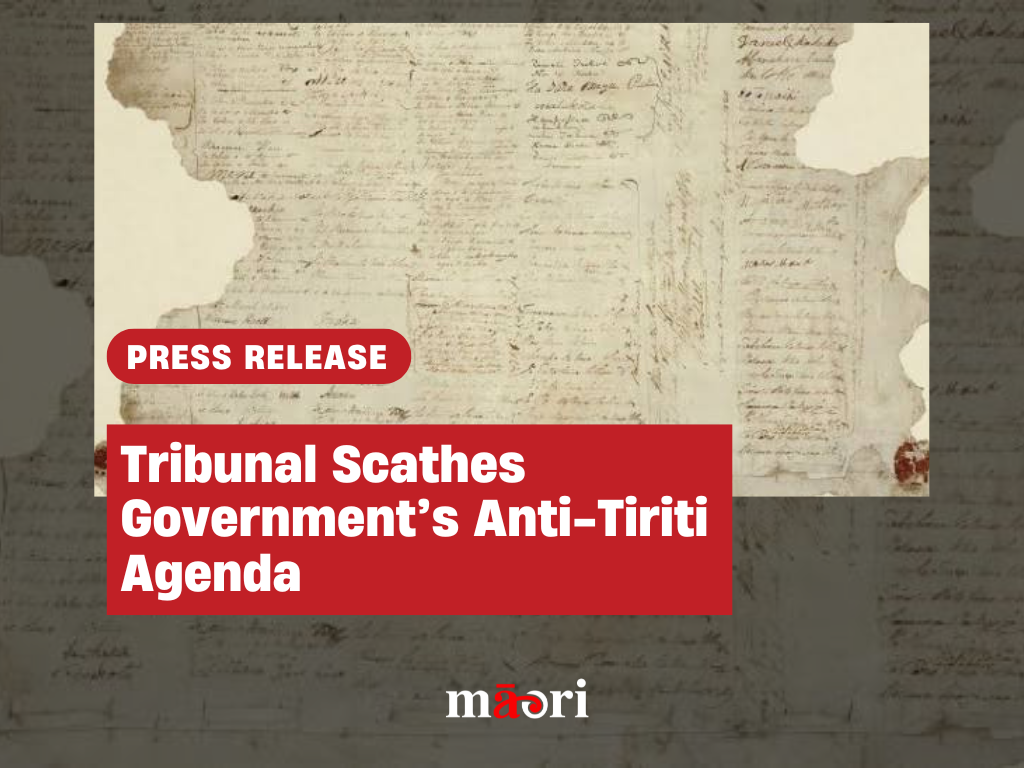 Tribunal Scathes Government’s Anti-Tiriti Agenda preview image