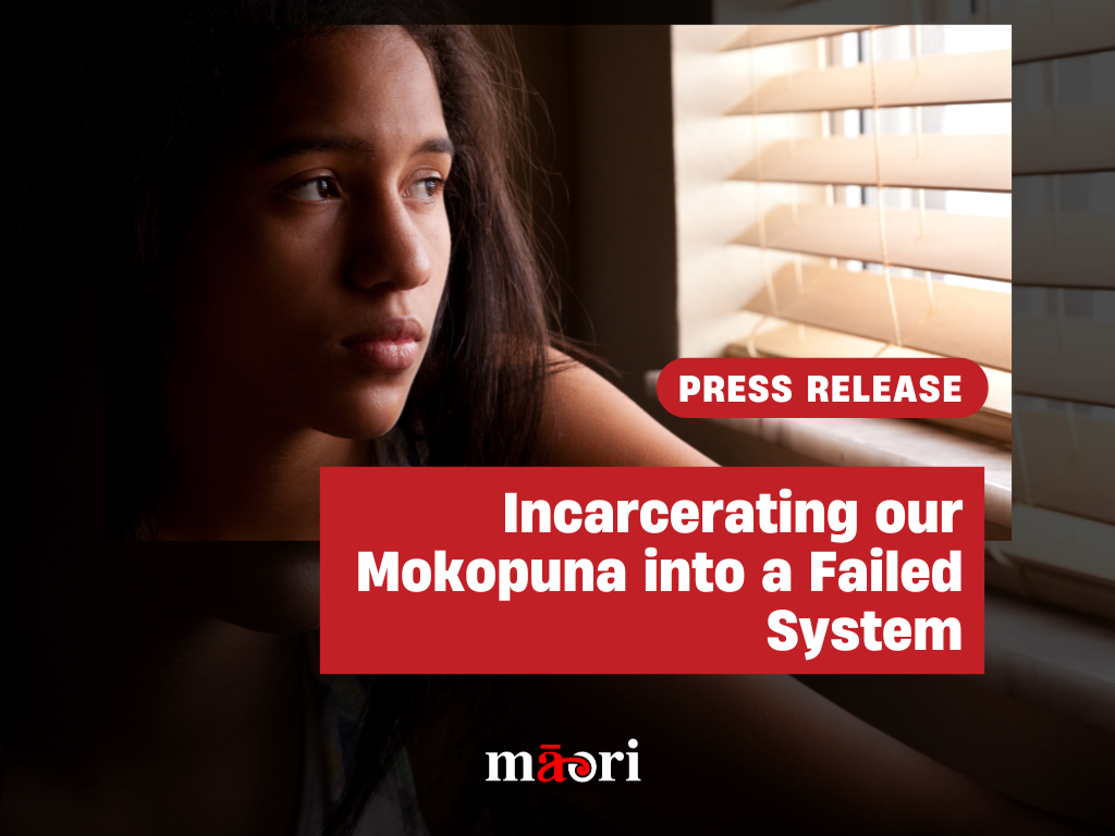 Govt Incarcerating our Mokopuna into a Failed System preview image