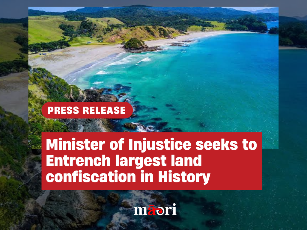 Minister of Injustice seeks to Entrench largest land confiscation in History  preview image