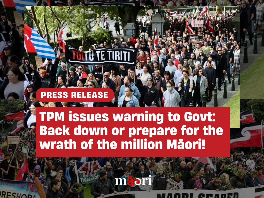 TPM issues warning to Govt: Back down or prepare for the wrath of the million Māori preview image
