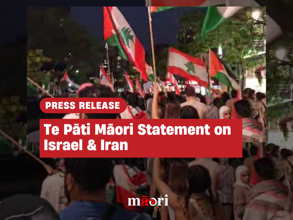 Te Pāti Māori Statement on Israel & Iran preview image
