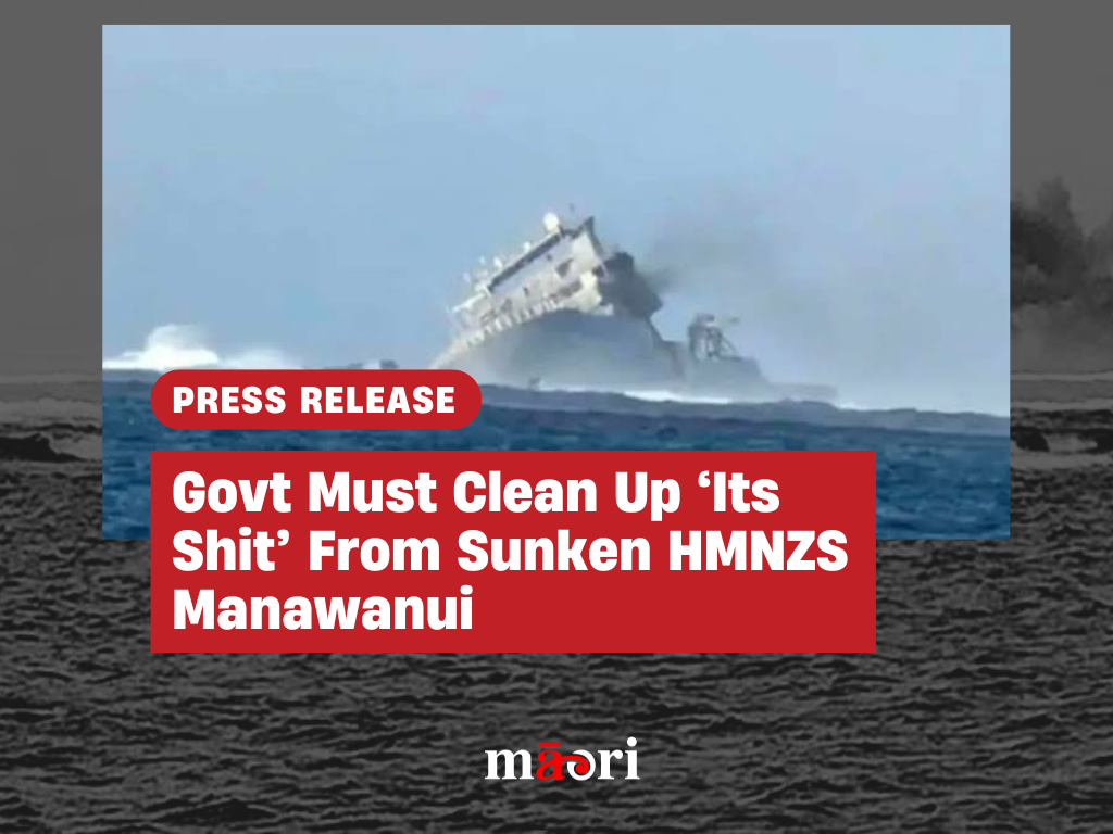 Govt Must Clean Up ‘Its Shit’ From Sunken HMNZS Manawanui preview image