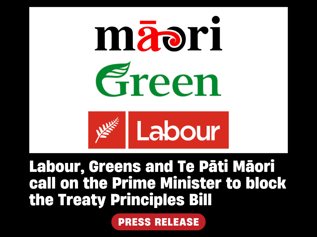 Labour, Greens and Te Pāti Māori call on the Prime Minister to block the Treaty Principles Bill preview image