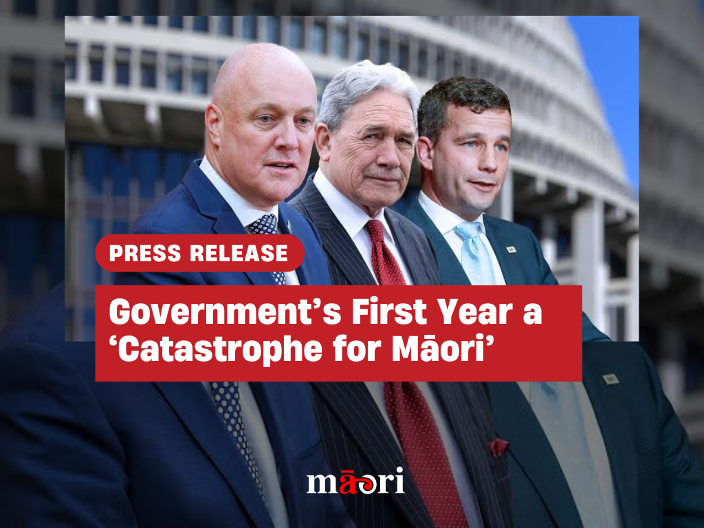 Government’s First Year a ‘Catastrophe for Māori’ preview image
