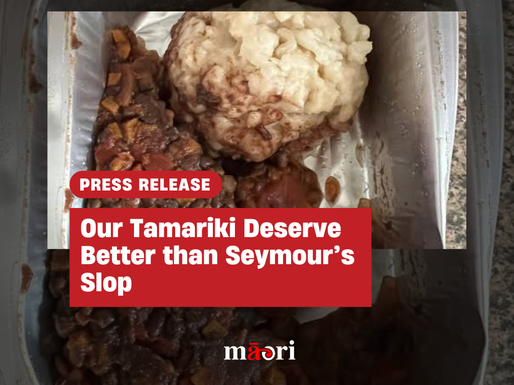 Our Tamariki Deserve Better than Seymour’s Slop preview image