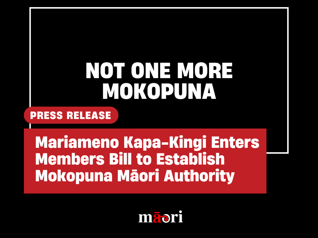 Mariameno Kapa-Kingi Enters Members Bill to Establish Mokopuna Māori Authority preview image