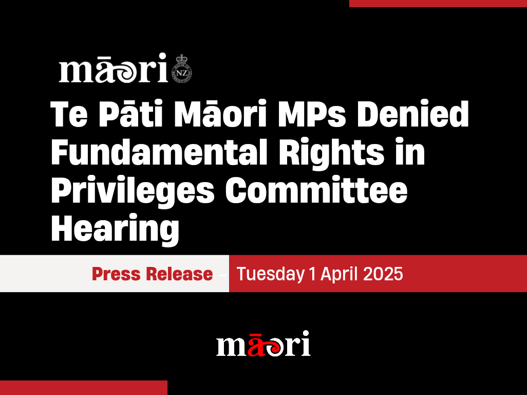 Te Pāti Māori MPs Denied Fundamental Rights in Privileges Committee Hearing preview image