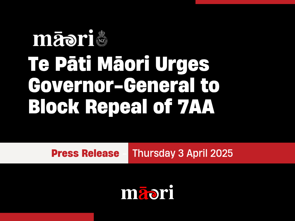 Te Pāti Māori Urges Governor-General to Block Repeal of 7AA preview image