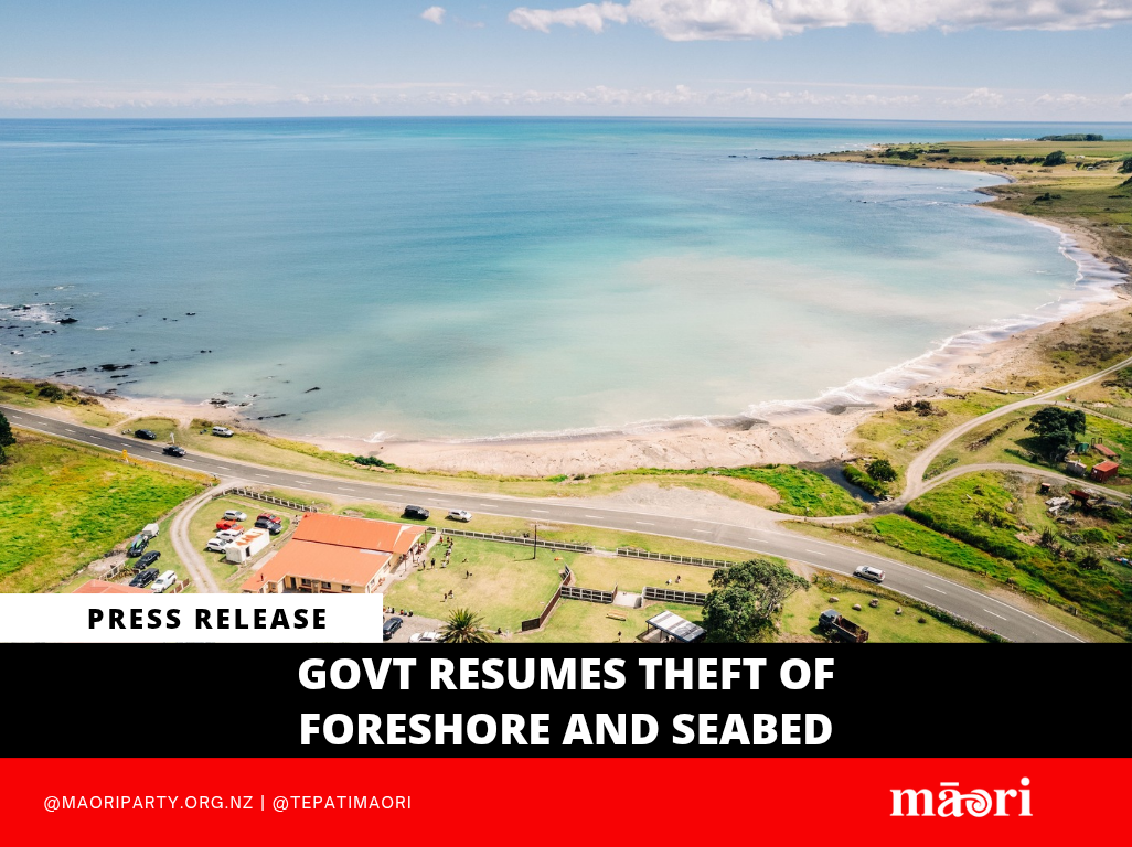Govt Resumes Theft of Foreshore and Seabed preview image