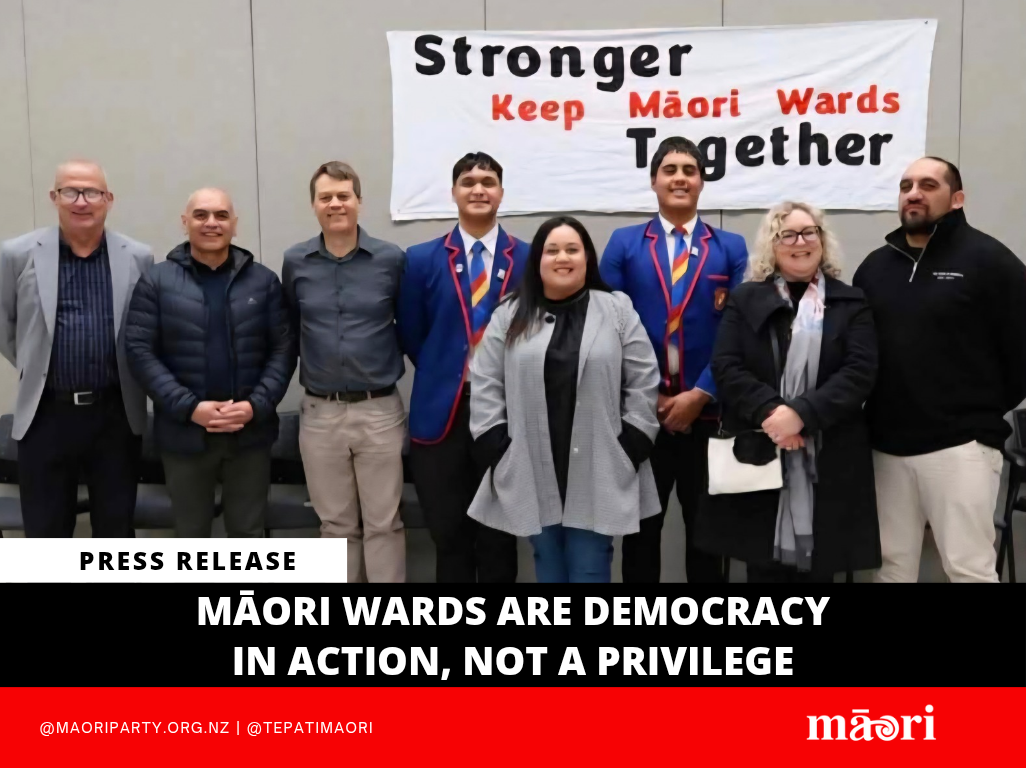 Māori Wards Are Democracy in Action, not a Privilege preview image