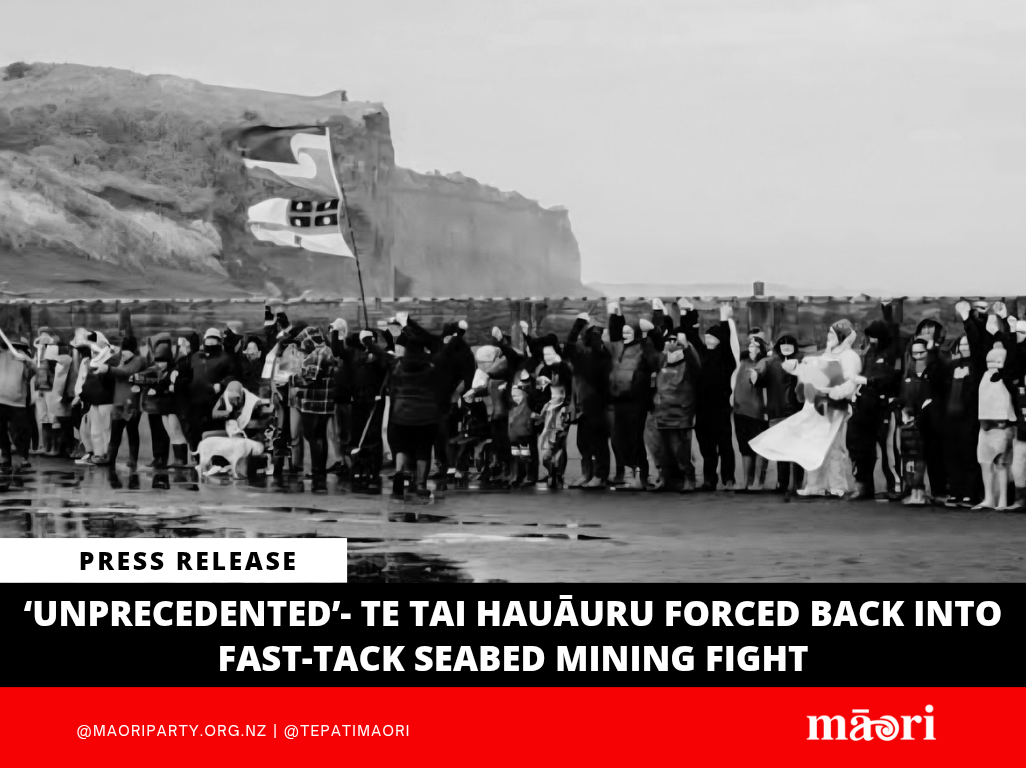 ‘Unprecedented’- Te Tai Hauāuru forced back into Fast-Tack Seabed Mining Fight preview image