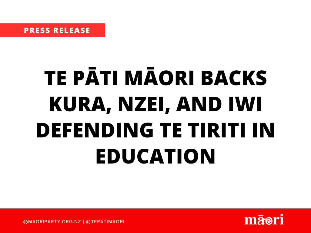 Te Pāti Māori backs kura, NZEI, and iwi defending Te Tiriti in education preview image