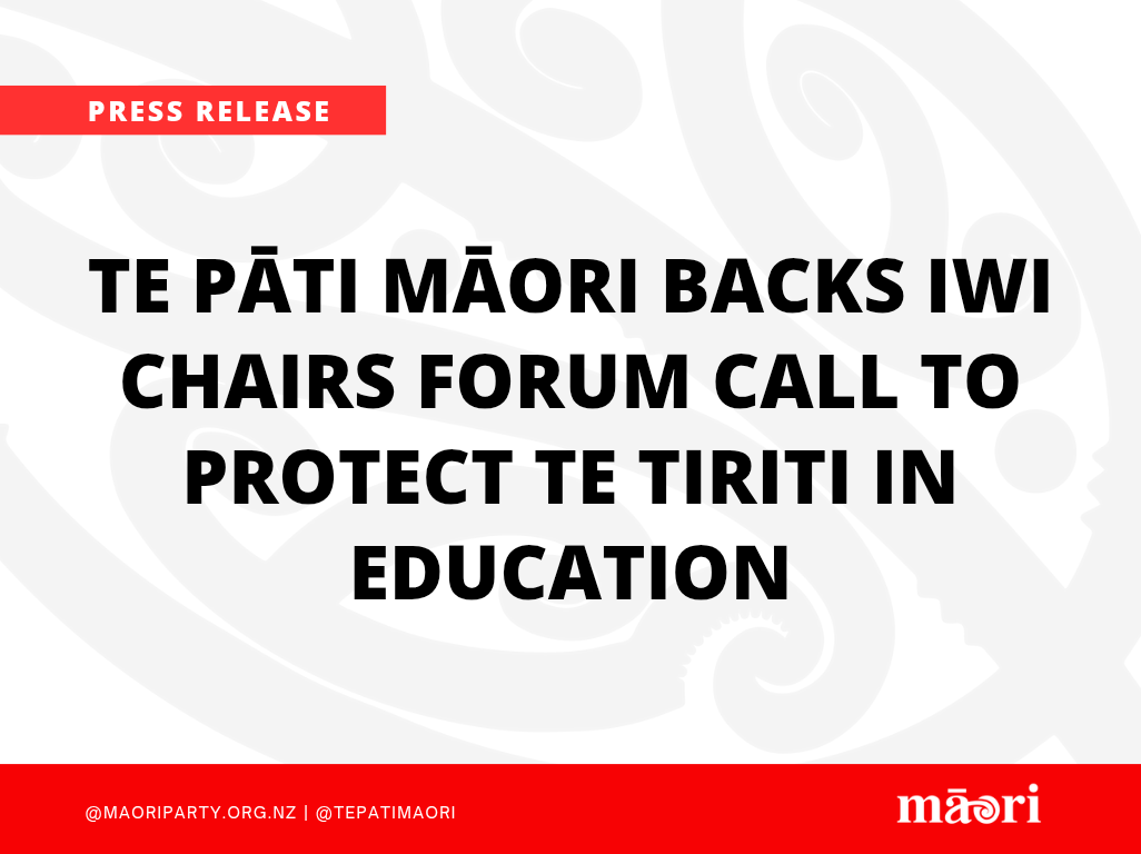 Te Pāti Māori backs Iwi Chairs Forum call to protect Te Tiriti in education preview image