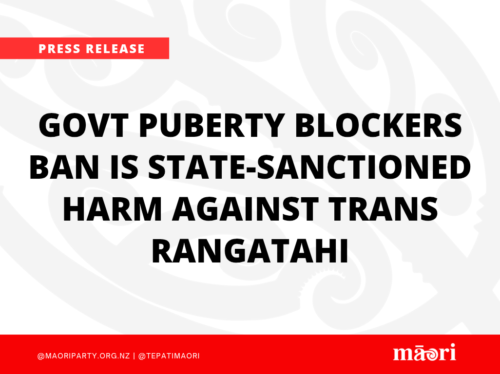 Govt Puberty Blockers Ban is State-Sanctioned Harm Against Trans Rangatahi preview image