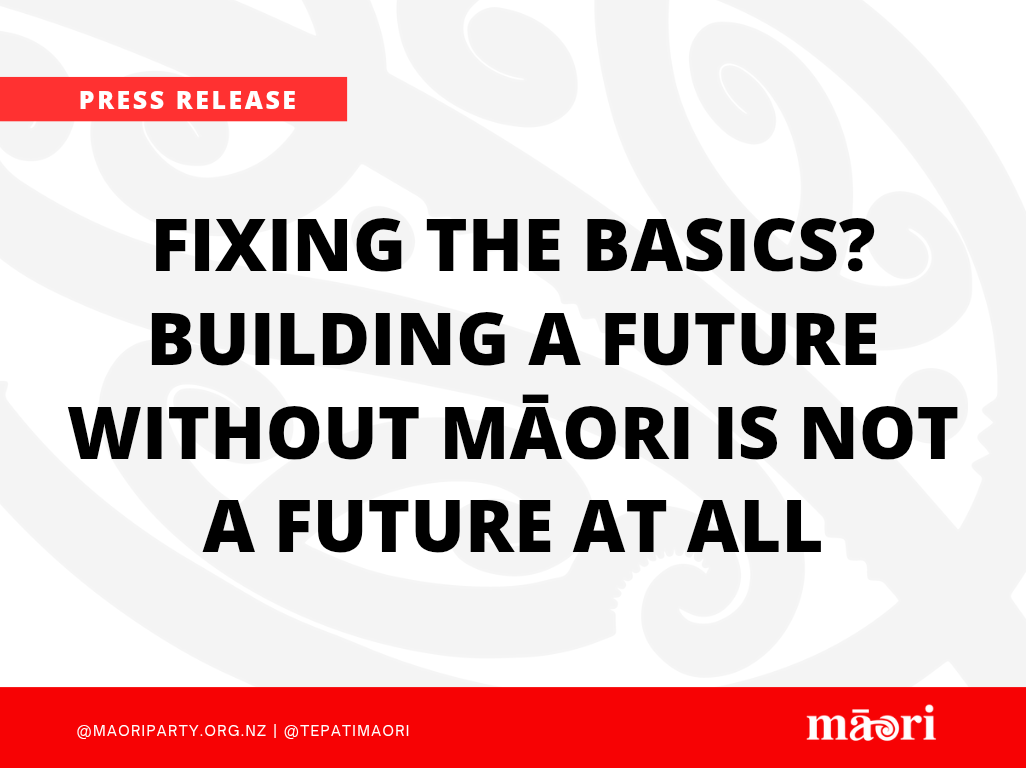 Fixing the Basics? Building a Future Without Māori Is Not a Future at All preview image