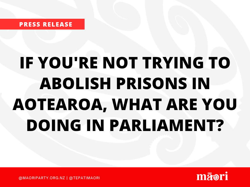 If you're not trying to abolish prisons in Aotearoa, what are you doing in Parliament? preview image