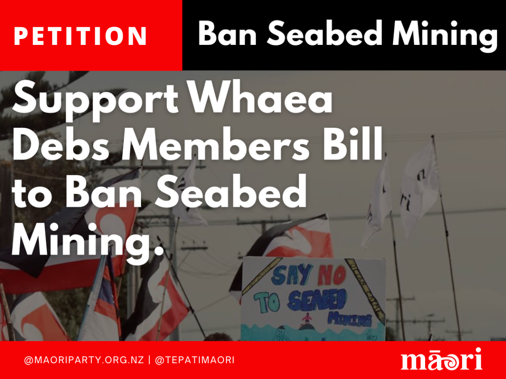 Support Whaea Debs Members Bill to permanently Ban Seabed Mining in New Zealand Waters!
