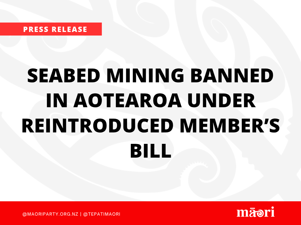 Seabed mining banned in Aotearoa under reintroduced Member’s Bill preview image