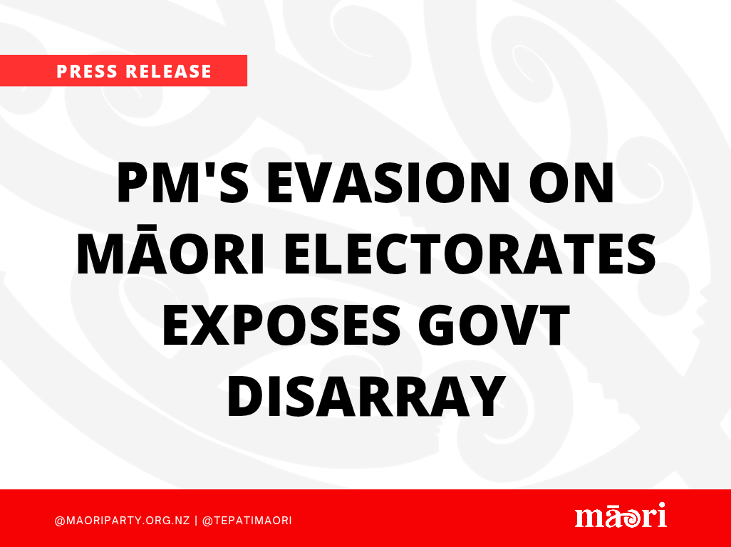 PM's Evasion on Māori Electorates Exposes Govt Disarray preview image