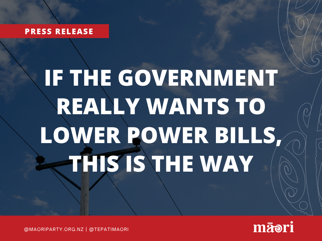 If The Government Really Wants To Lower Power Bills, This Is The Way preview image