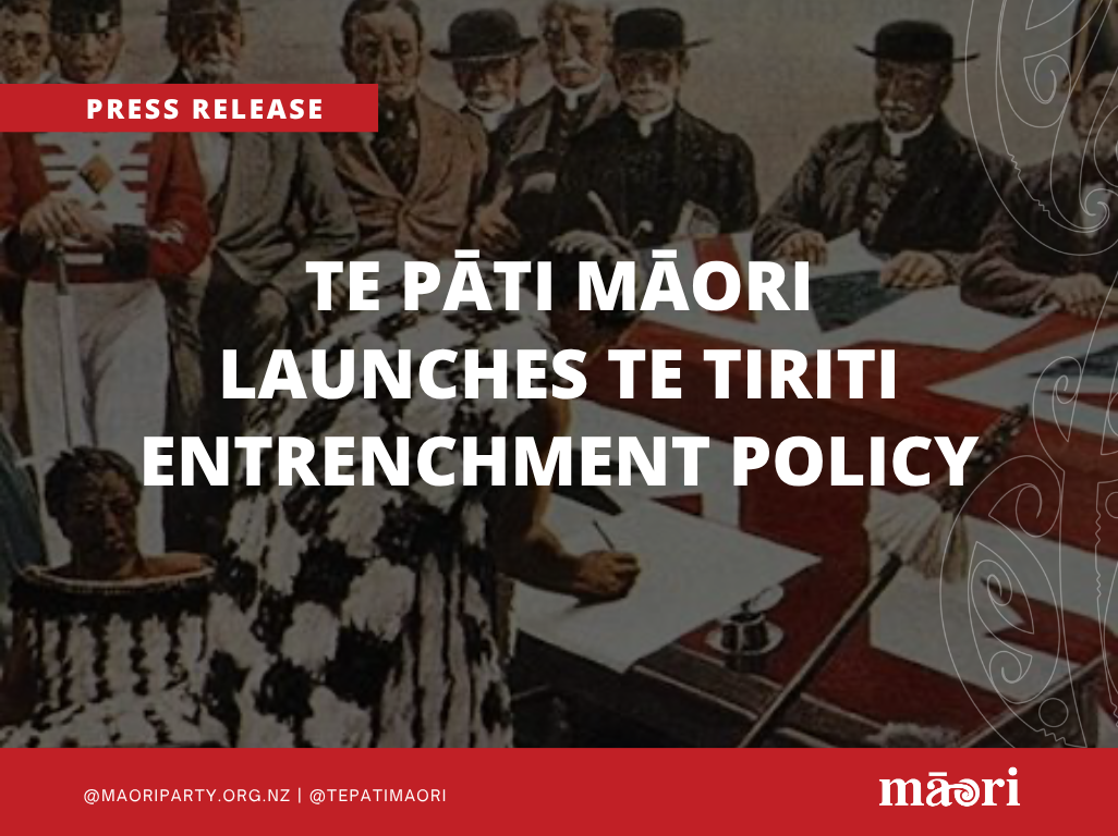 TE PĀTI MĀORI LAUNCHES TE TIRITI ENTRENCHMENT POLICY preview image