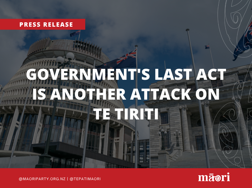 GOVERNMENT'S LAST ACT IS ANOTHER ATTACK ON TE TIRITI preview image