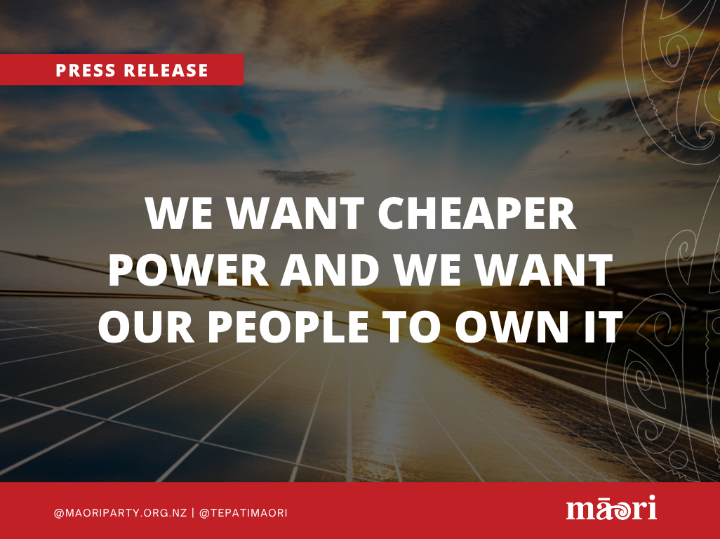 We Want Cheaper Power And We Want Our People To Own It. preview image