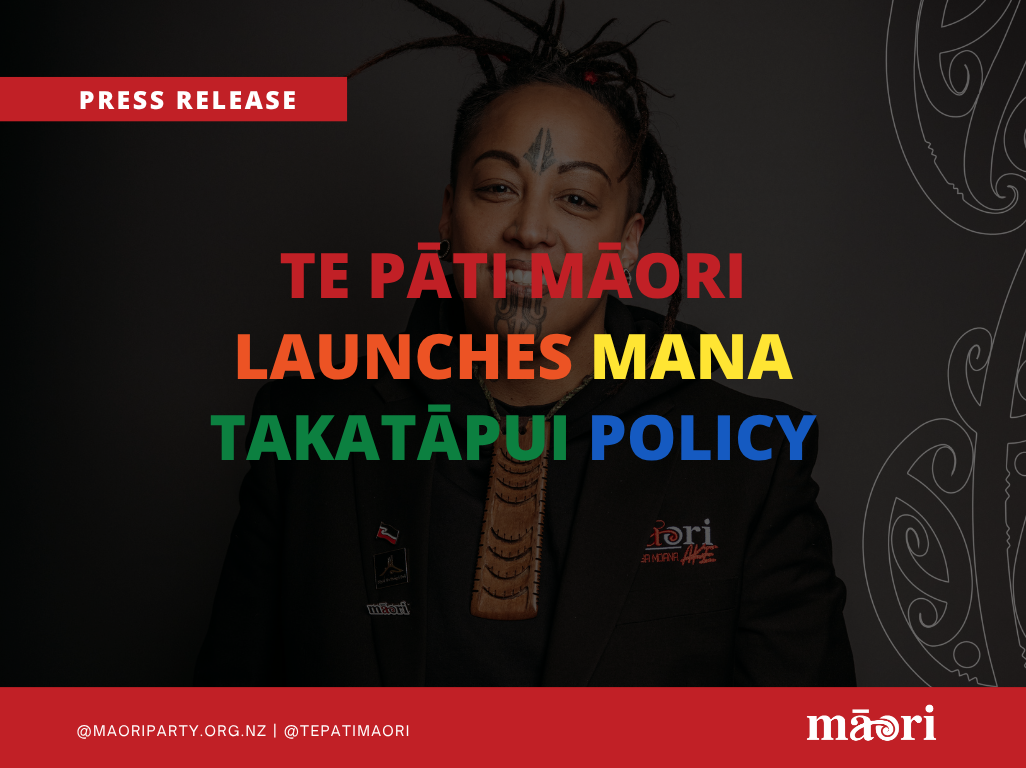 Te Pāti Māori launches Mana Takatāpui Policy preview image