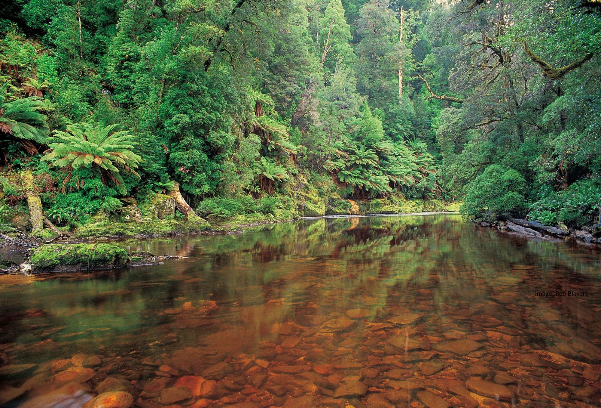 Rivers What's Special- Environment Tasmania 2023