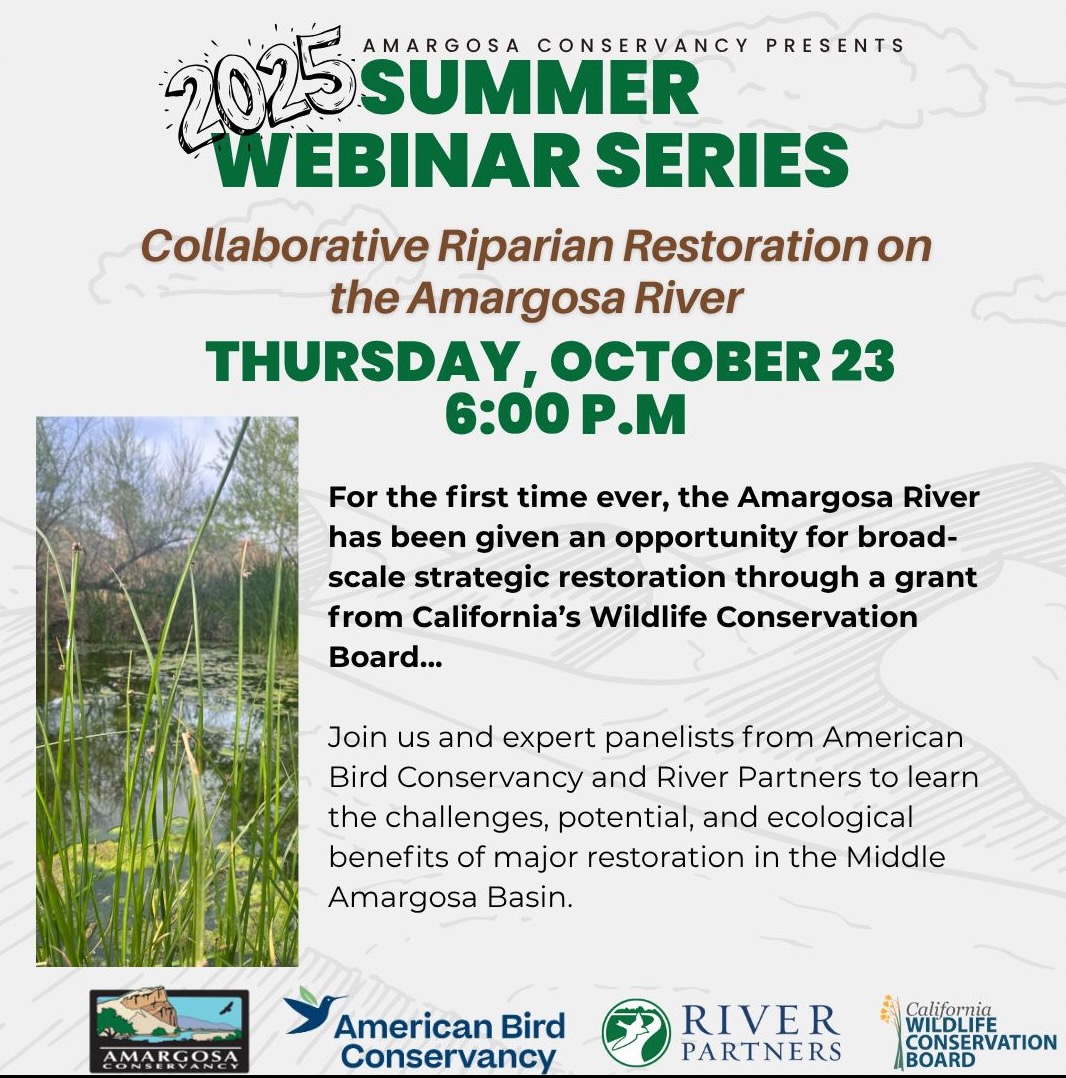 Amargosa_webinar_october_2025.jpeg