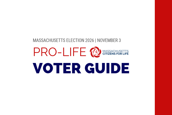voter guide