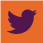 Twitter icon