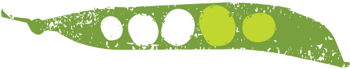 PeaTwo.png