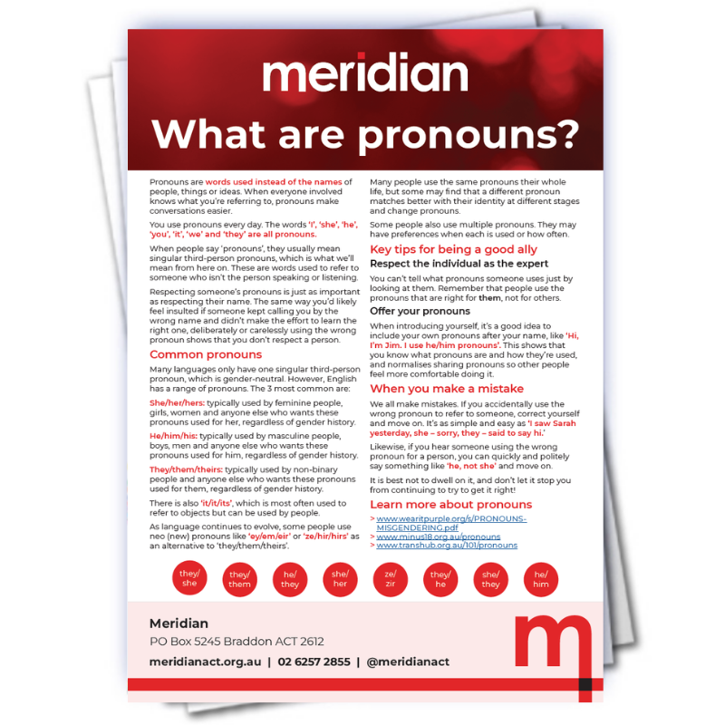 Image of the What are Pronouns fact sheet