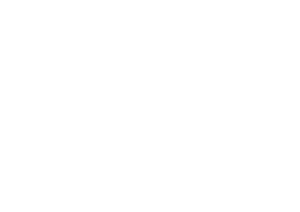 FEM Presents