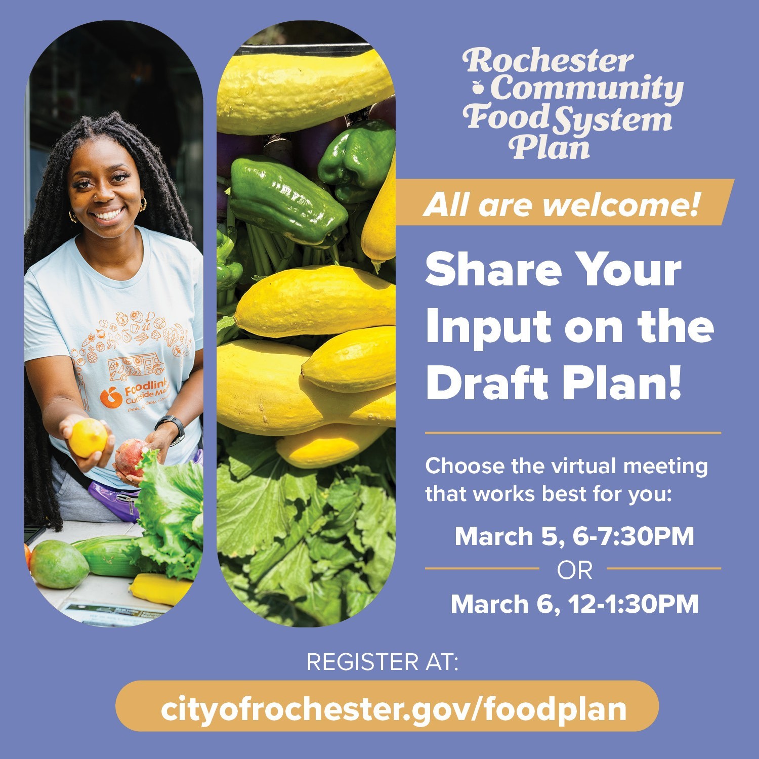 flier for rochester food plan