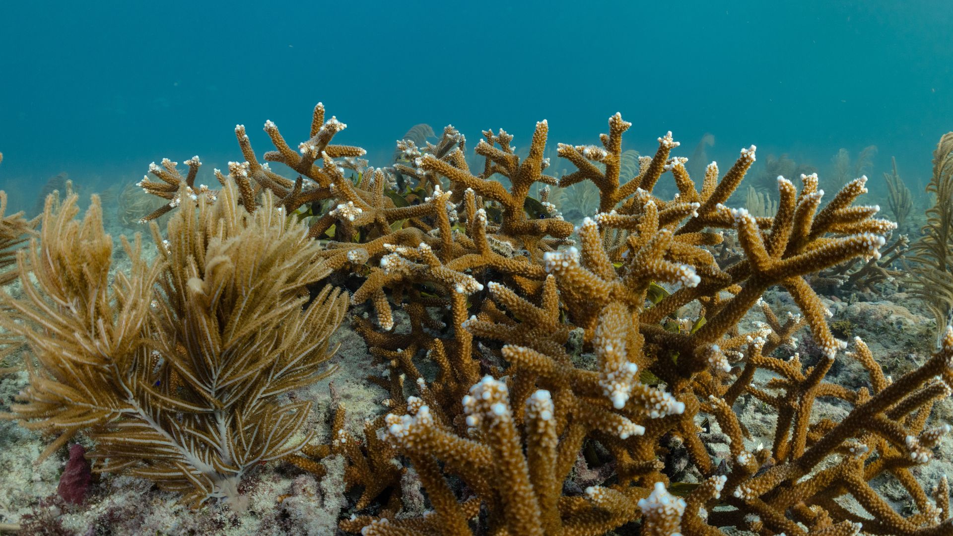 Why hurricane flooding is about to get even more dangerous in Florida