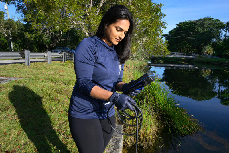 Summer heat brings fish kills in South Florida. Here’s what to do if you see one.