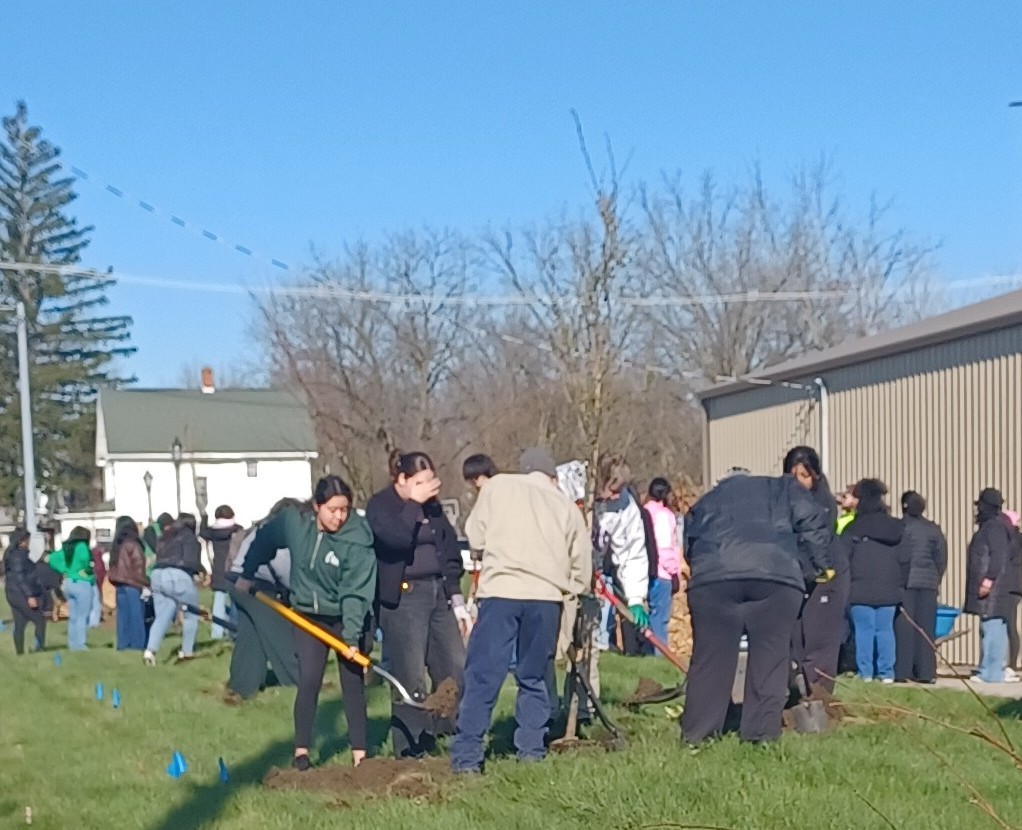 volunteers participating in tree planting 