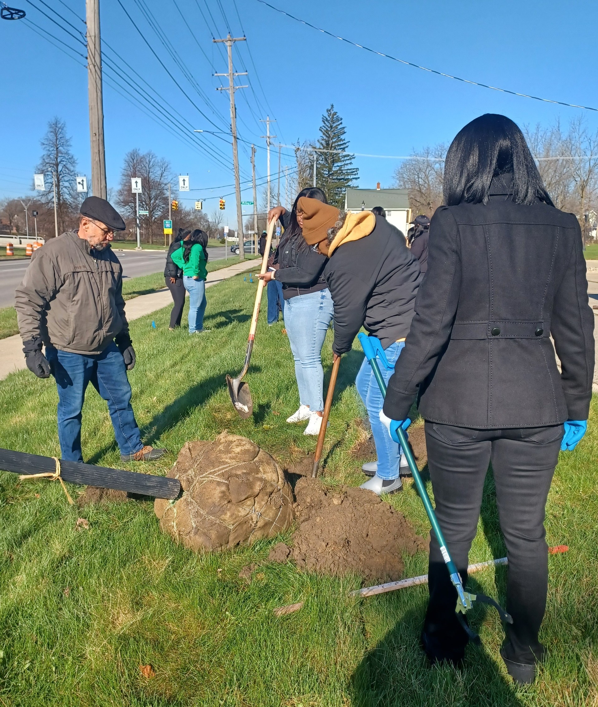 volunteers planting trees