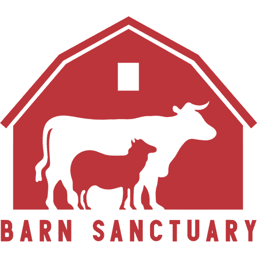 Barn Sanctuary