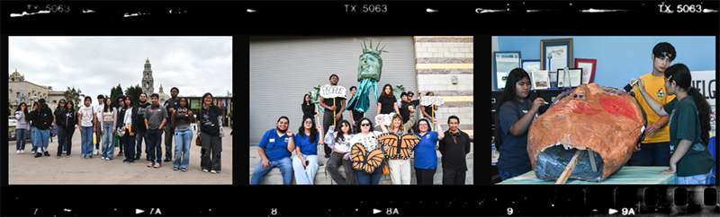 Artivism photo album