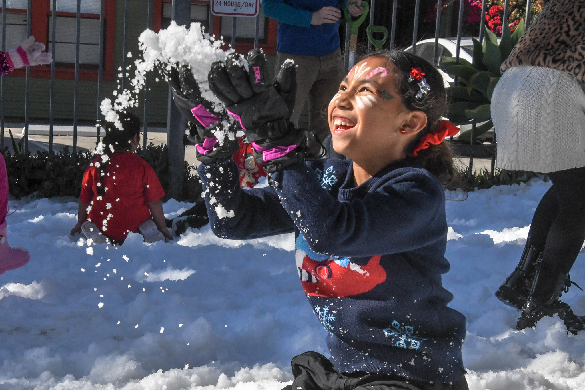4th Snowy Wonderland