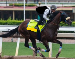 race-horse_.png